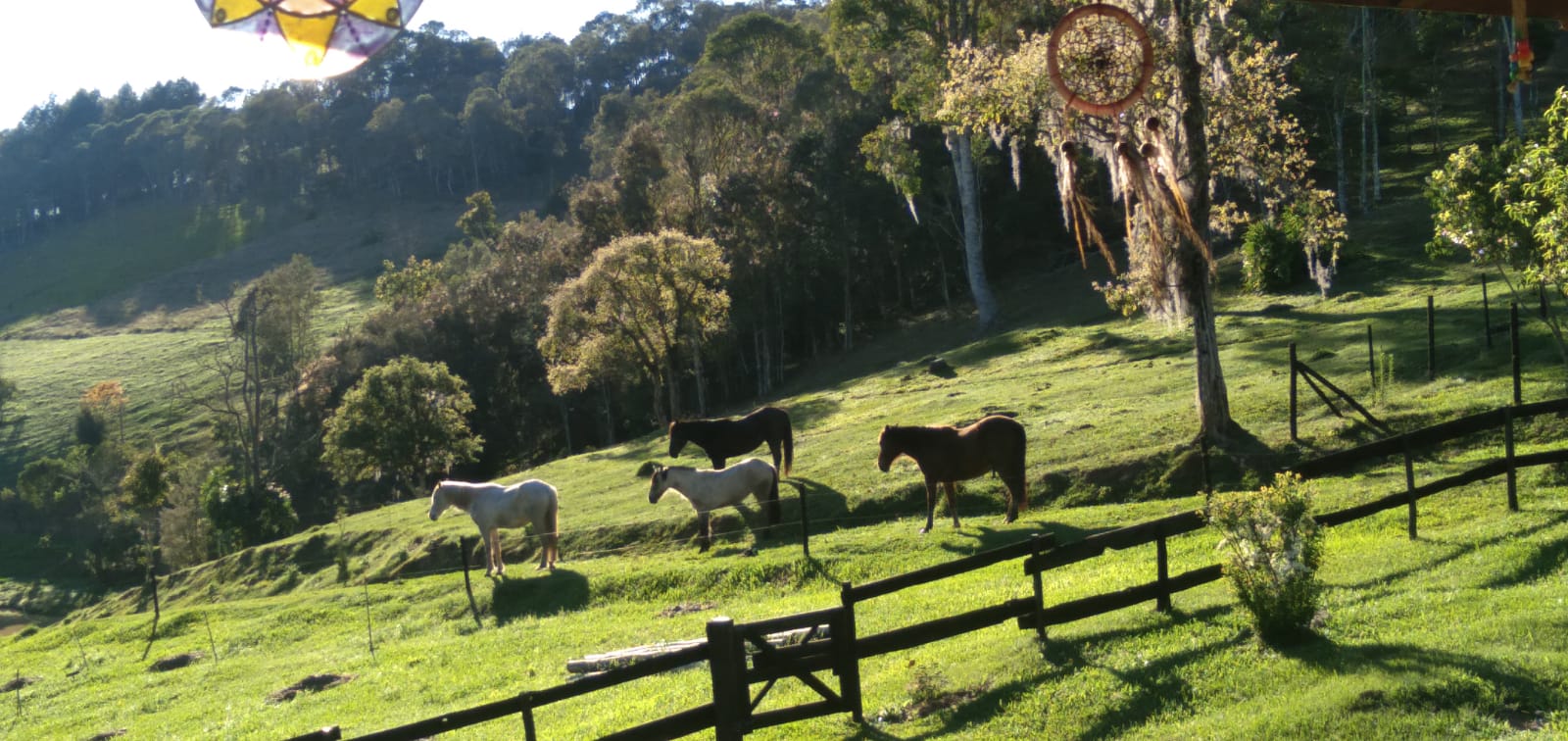 Sítio de 36,2 Hectares em Bom Retiro - Bom Retiro, Serra Catarinense