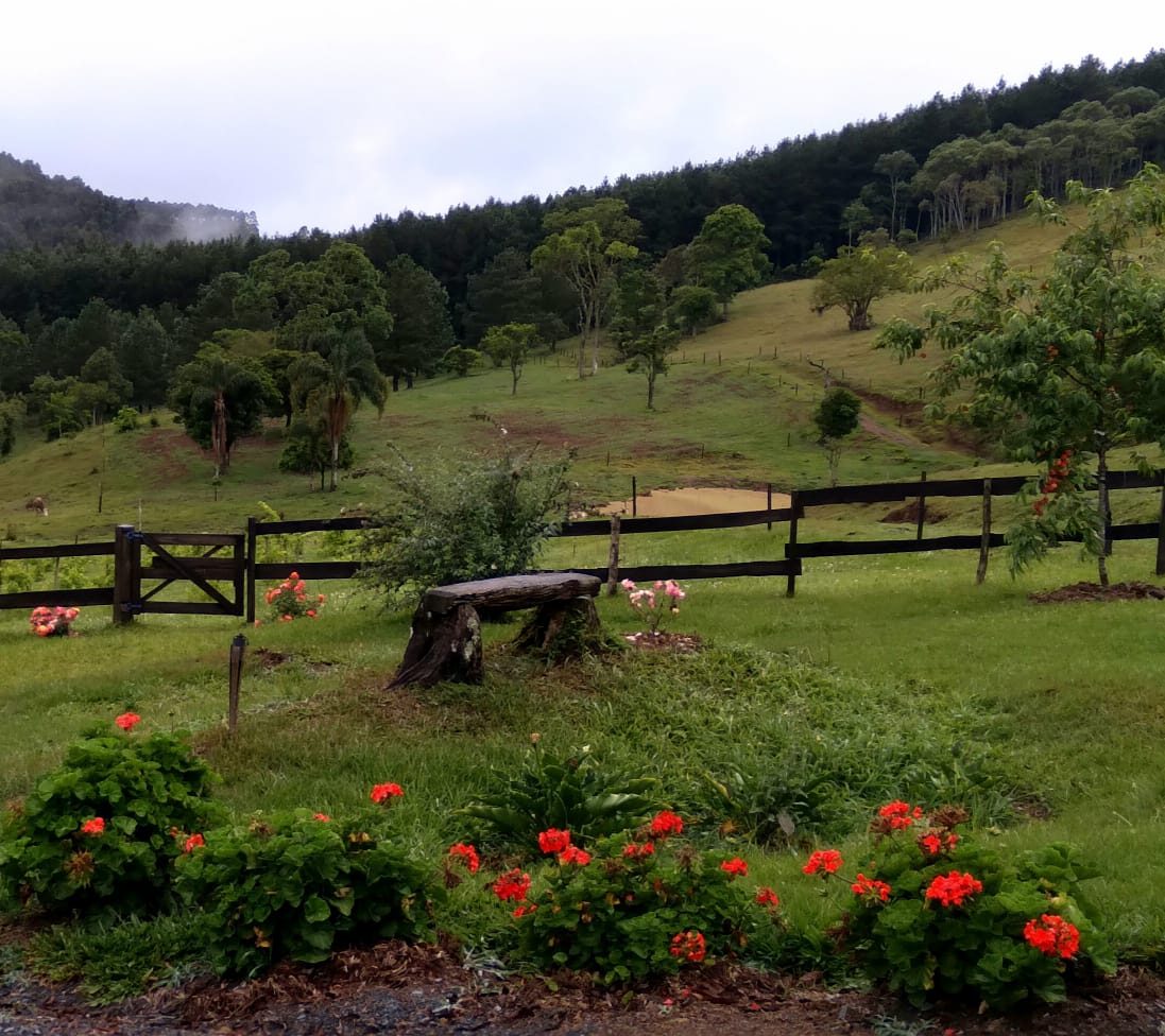 S�tio de 36,2 Hectares em Bom Retiro - foto 7