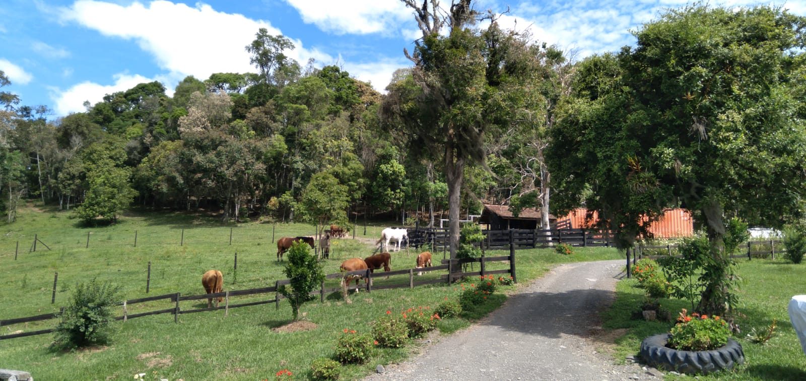 S�tio de 36,2 Hectares em Bom Retiro - foto 10