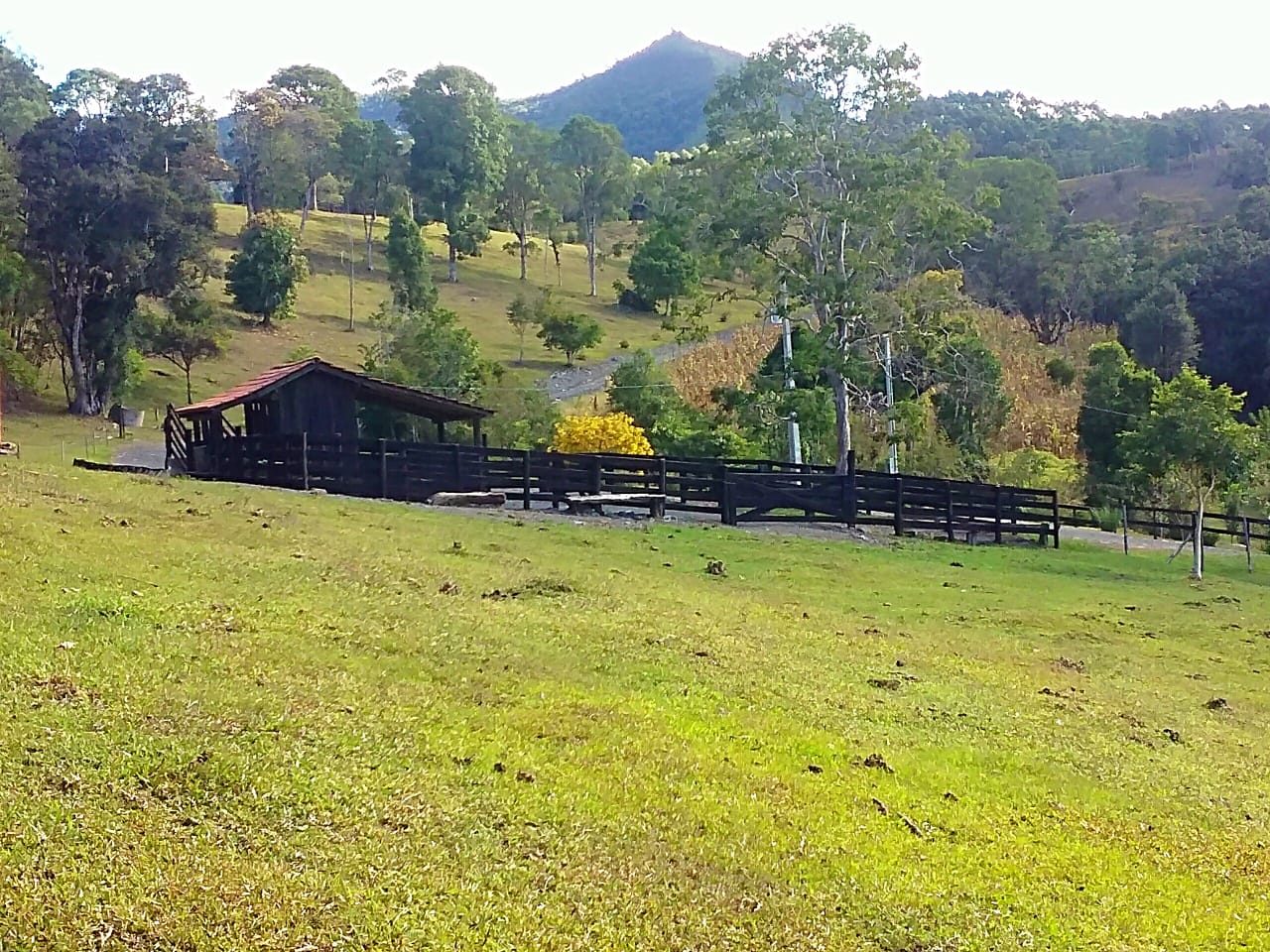 S�tio de 36,2 Hectares em Bom Retiro - foto 17