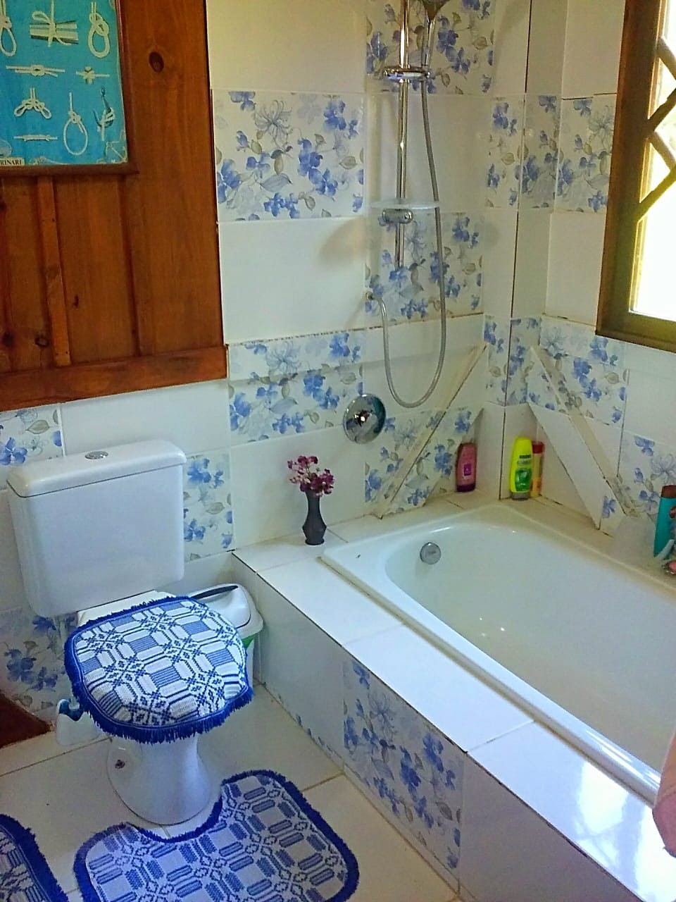 S�tio de 36,2 Hectares em Bom Retiro - foto 22