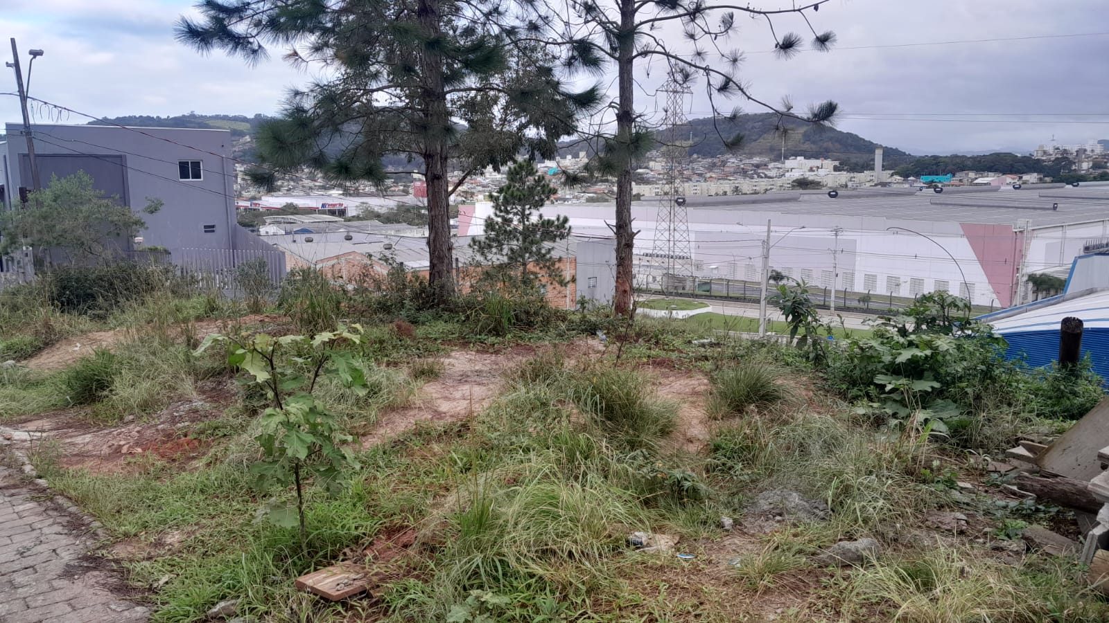 Terreno de Esquina em Areias - foto 3