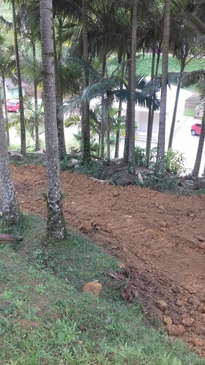 Terreno em Bigua�u - foto 12