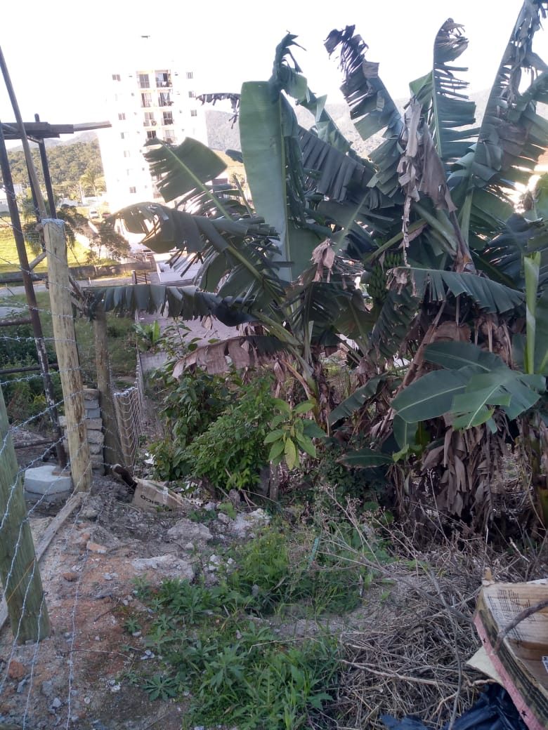 Terreno em Santo Amaro da Imperatriz - foto 3