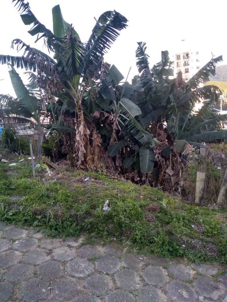 Terreno em Santo Amaro da Imperatriz - foto 5